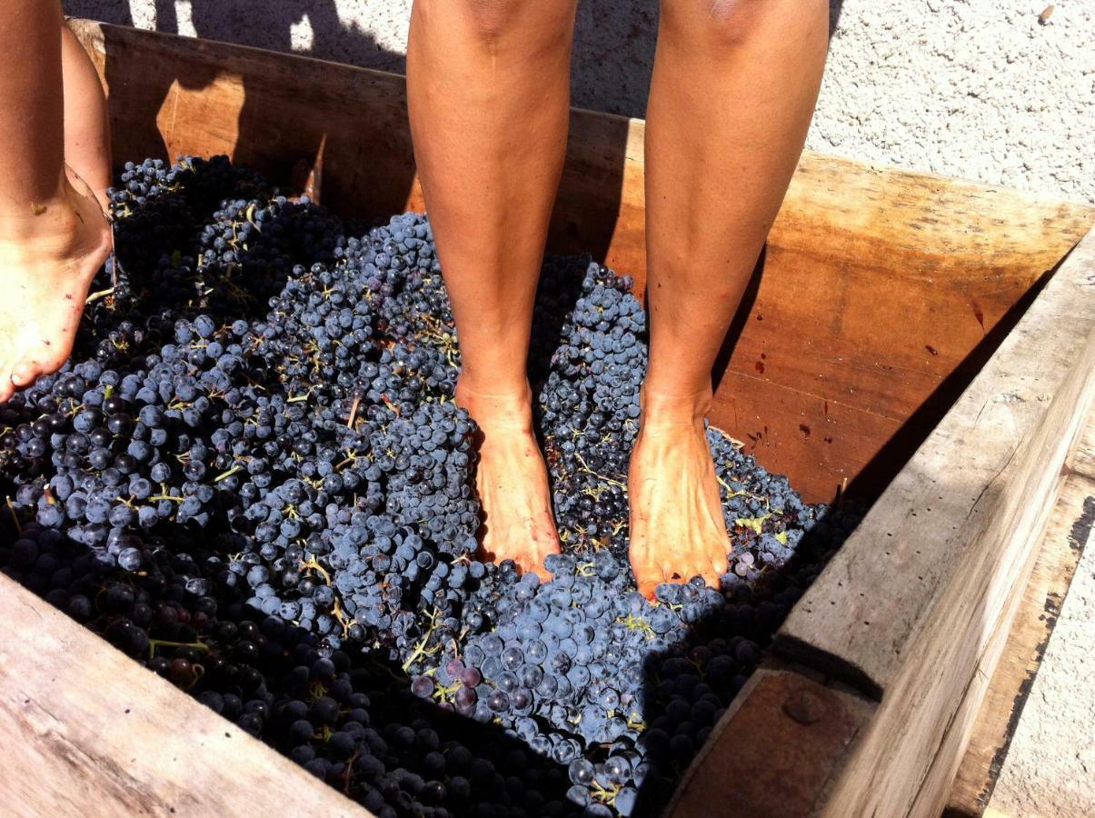 Bed & Breakfast Il Sassoscritto Montecalvo Versiggia